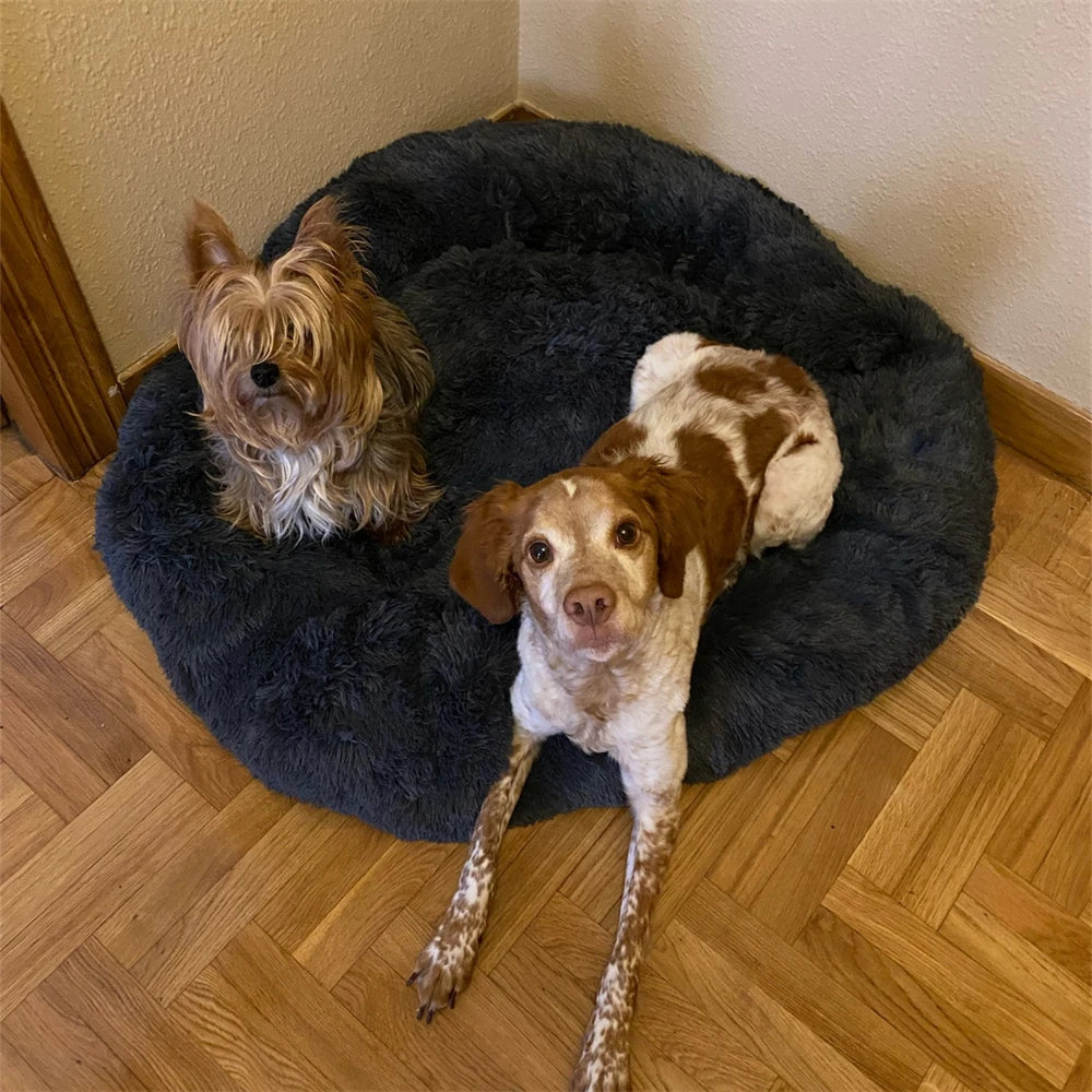 Pip&Marley's Super Zachte Hond en Kat Bed